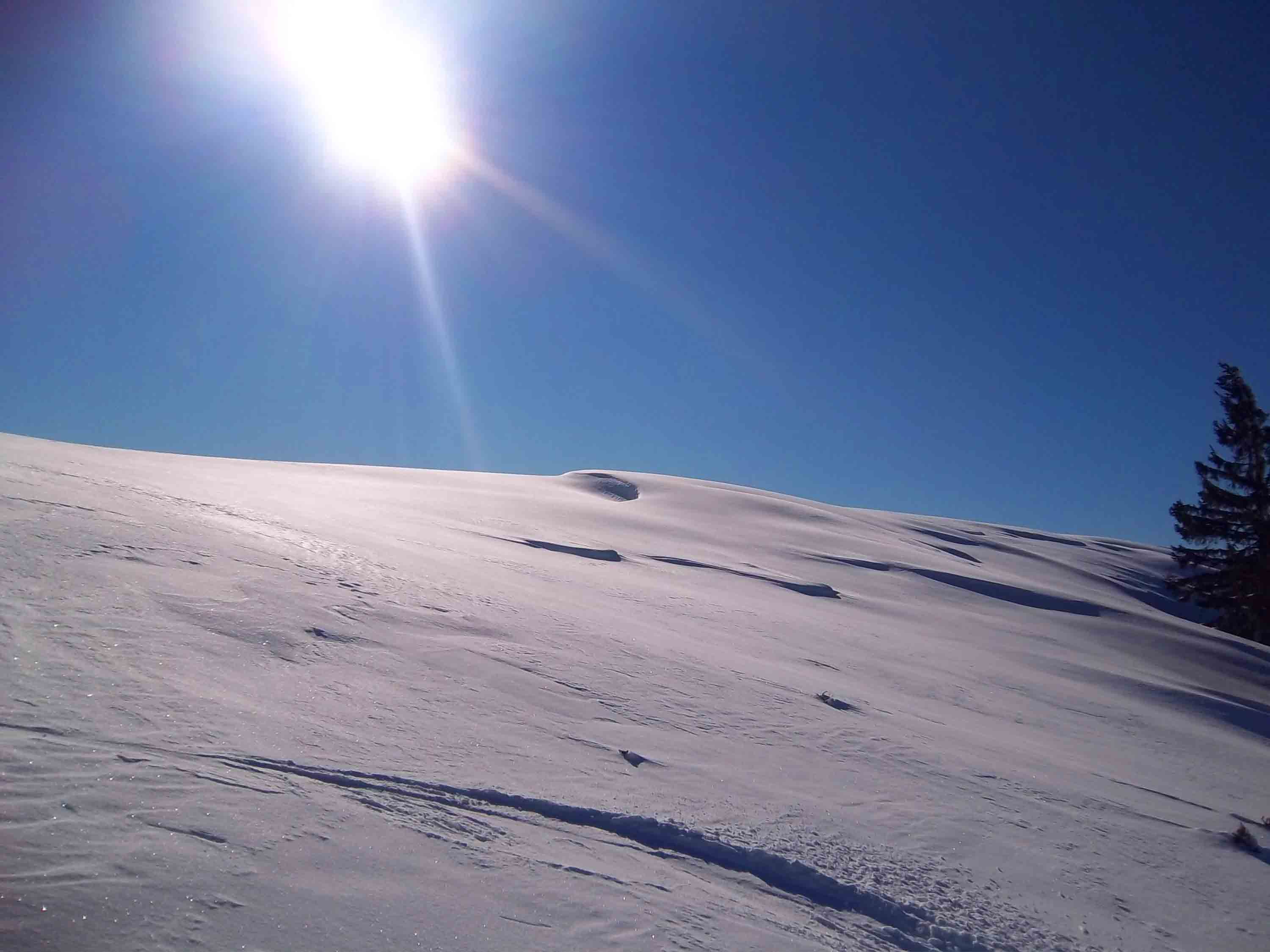 Skilanglauf in Oberaschau Loipe