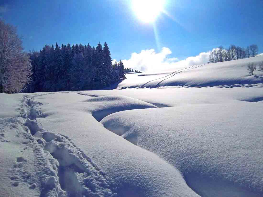 Skilanglauf in Oberaschau Loipe